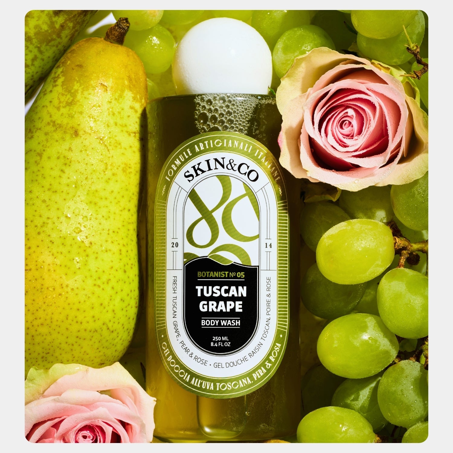 Tuscan Grape Body Wash | Antioxidant-Rich Body Cleanser with