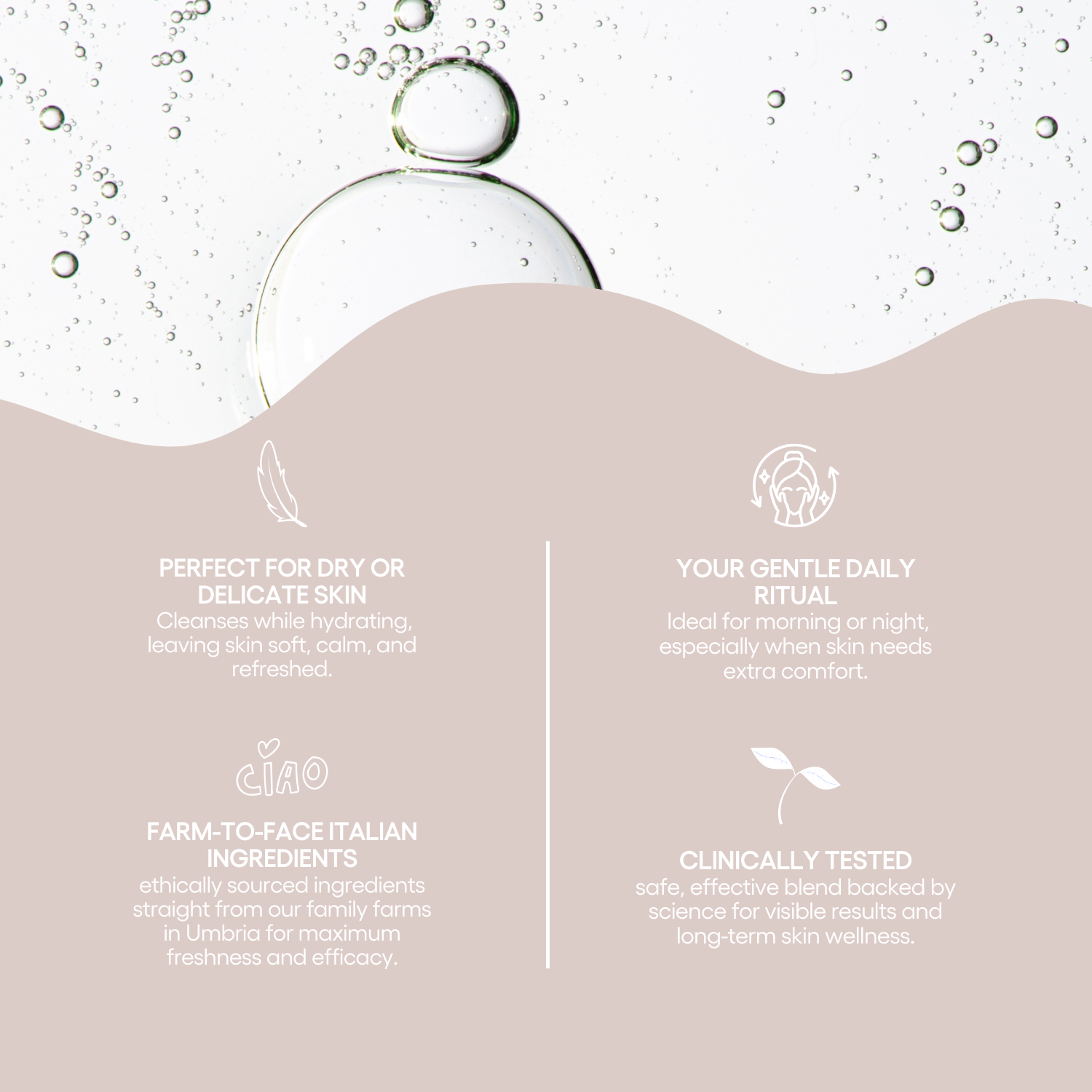 The Whipped Cleanser