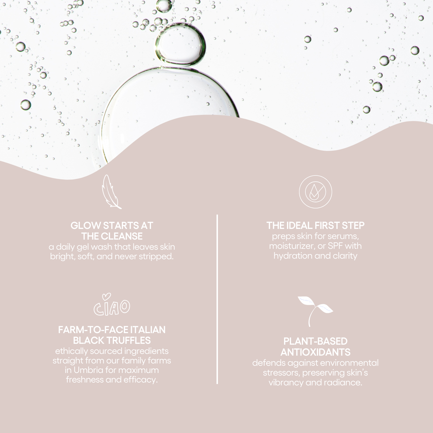 The Morning Dew Cleanser