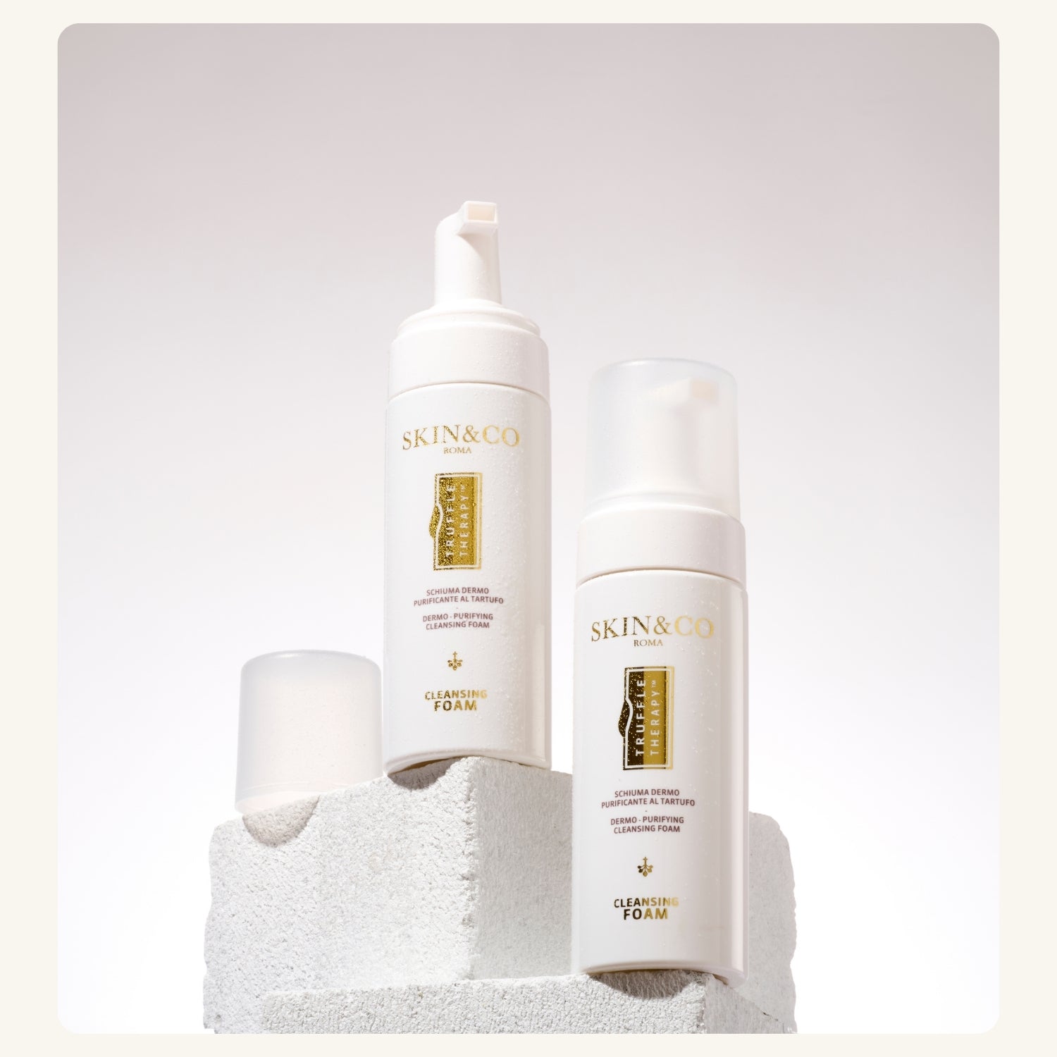 The Foaming Cleanser
