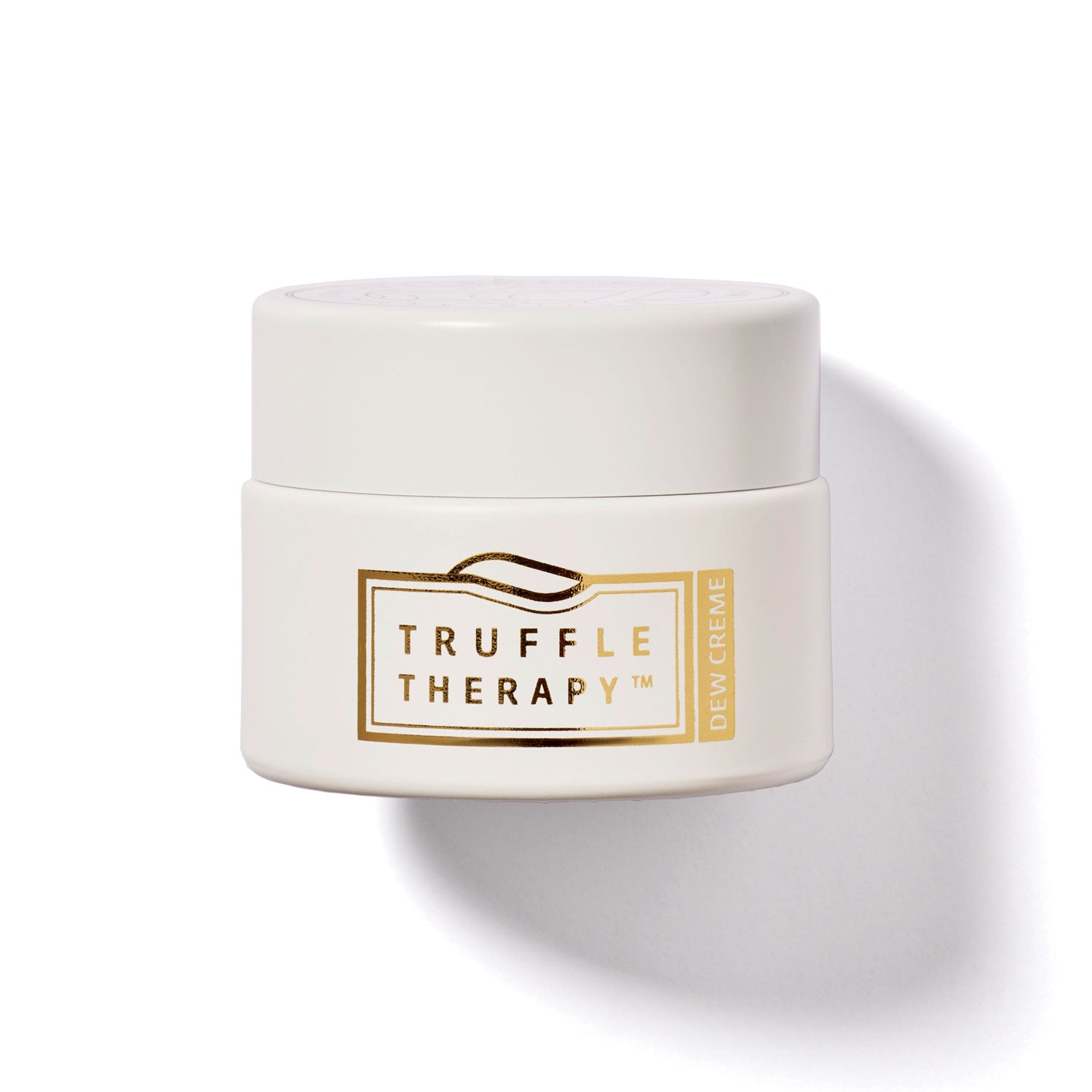 Truffle Therapy Moisture Dew Day Crème