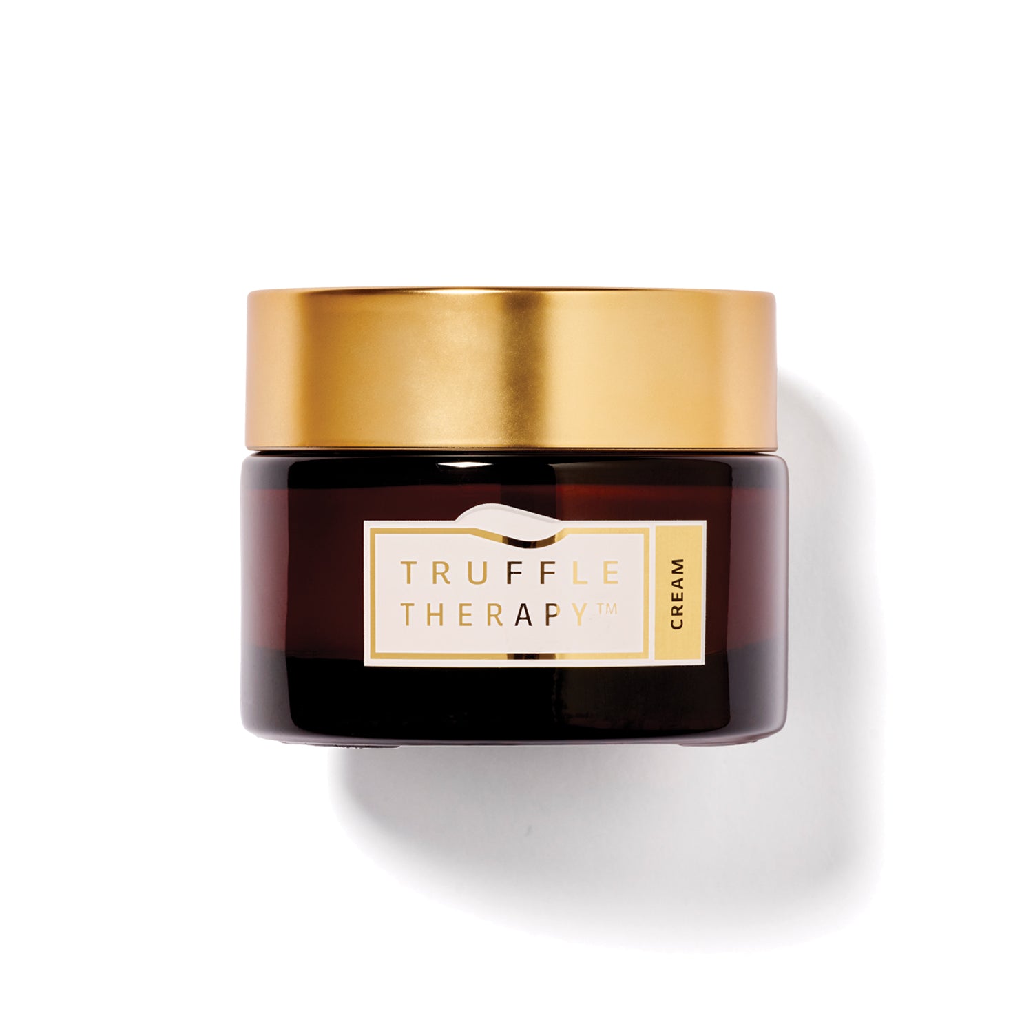 Truffle Therapy Moisture Dew Day Crème